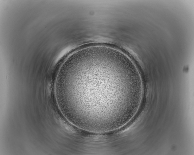 X0000092021163200709131550