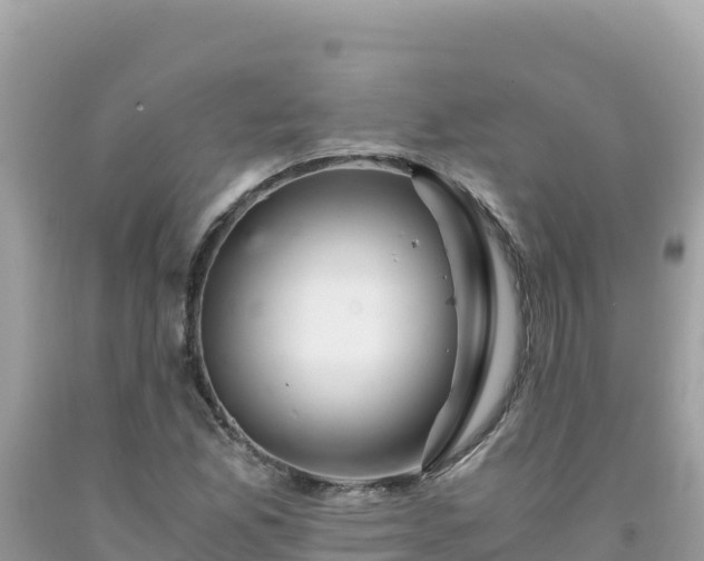X0000092021165200709131550