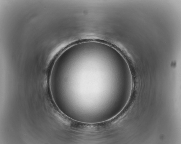 X0000092021167200709131550