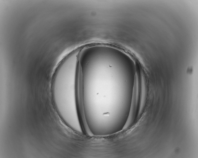 X0000092021168200709131550