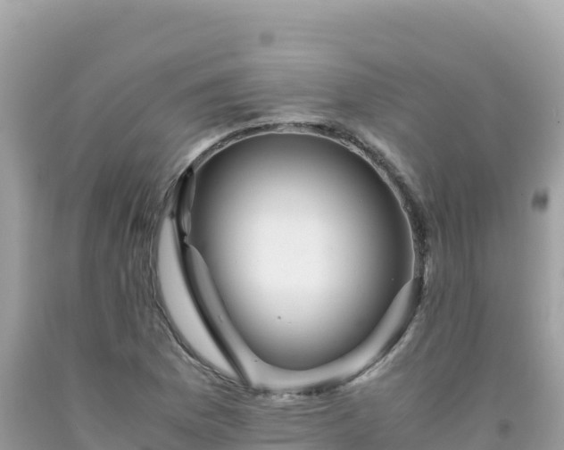 X0000092021169200709131550