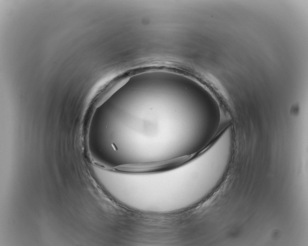 X0000092021172200709131549