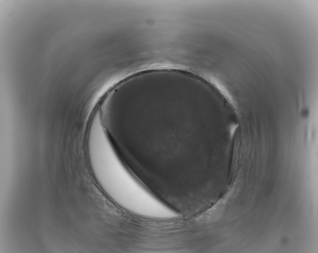 X0000092021173200709131549