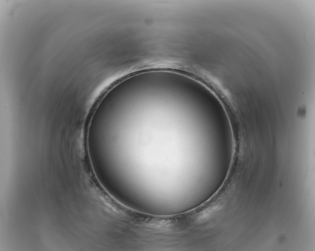 X0000092021174200709131549