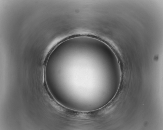 X0000092021175200709131549