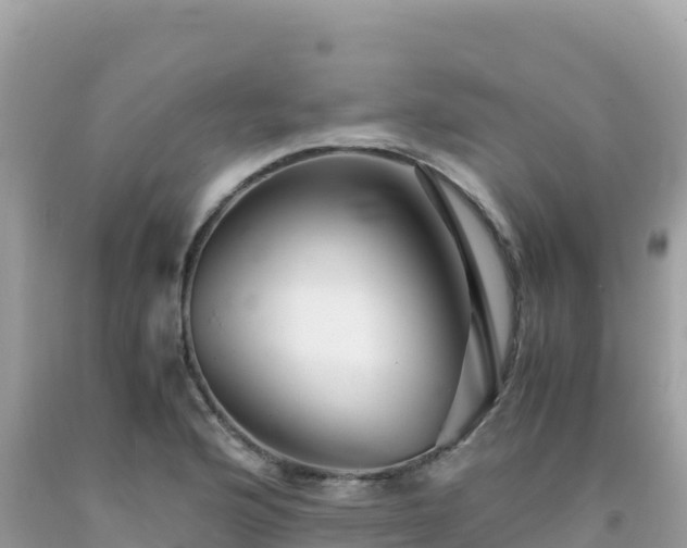 X0000092021176200709131549