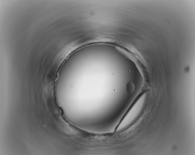 X0000092021177200709131549