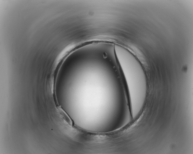 X0000092021180200709131549