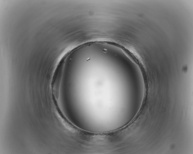 X0000092021181200709131549