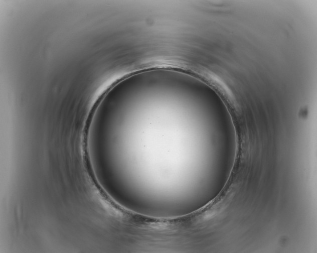 X0000092021182200709131549