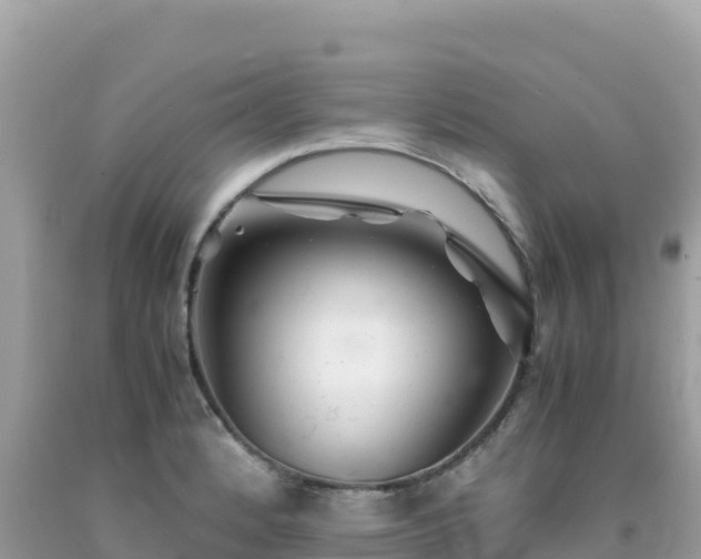 X0000092021184200709131549