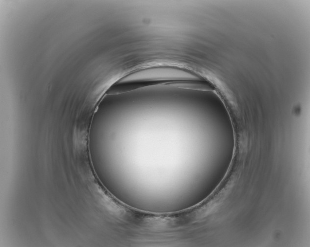 X0000092021185200709131549