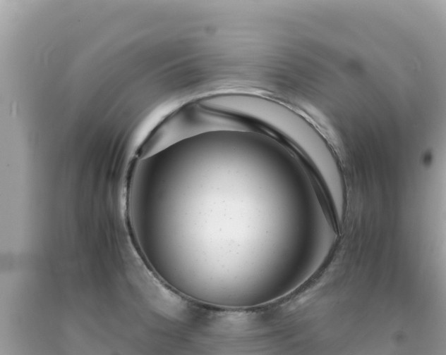 X0000092021188200709131549