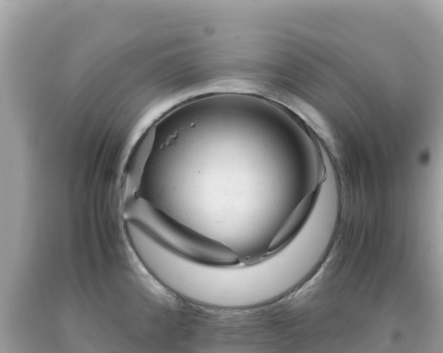 X0000092021192200709131549