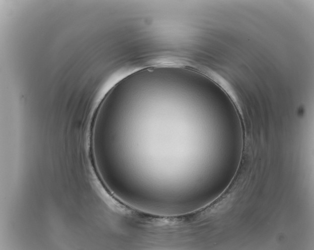 X0000092021195200709131549