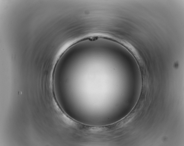 X0000092021199200709131549