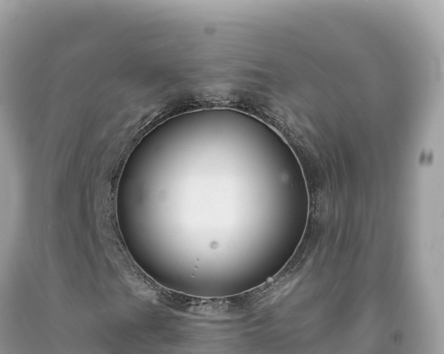 X0000092021201200709131548