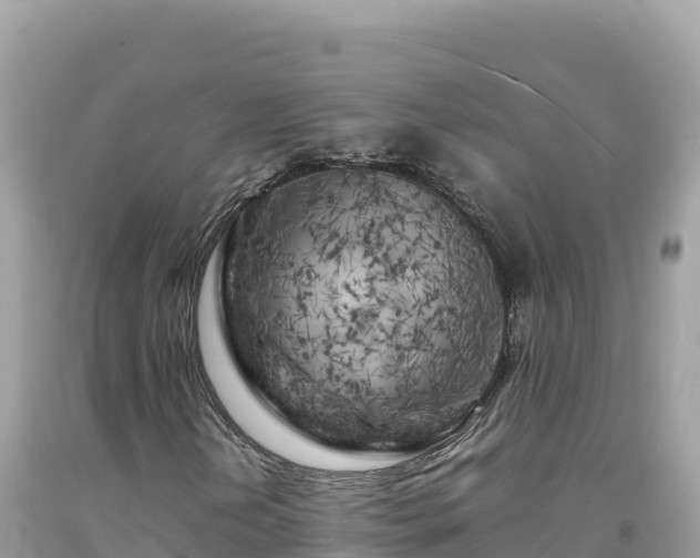 X0000092021202200709131548