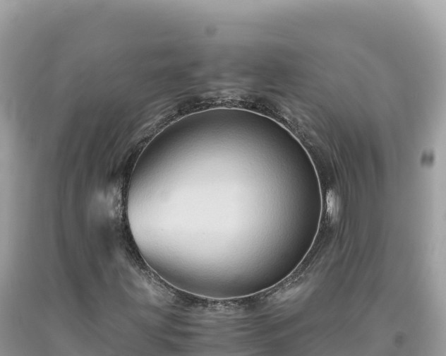 X0000092021203200709131548