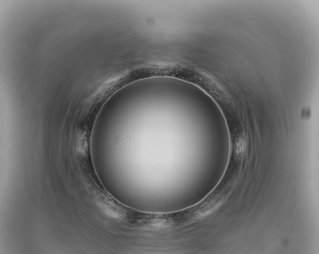 X0000092021204200709131548