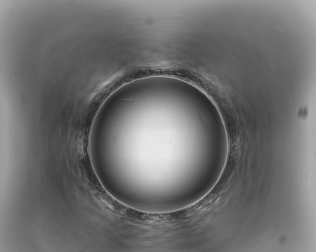 X0000092021205200709131548