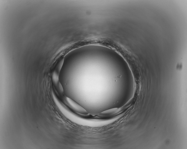 X0000092021206200709131548