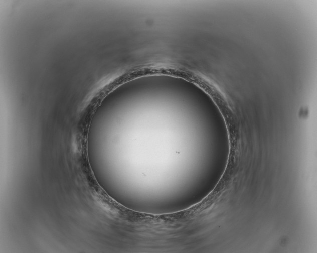 X0000092021207200709131548