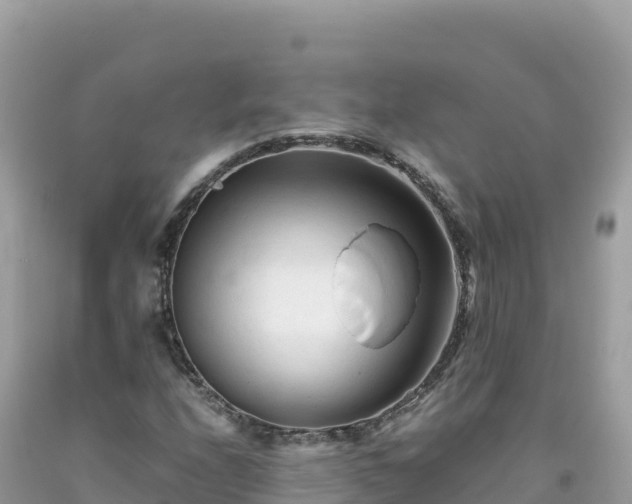 X0000092021208200709131548