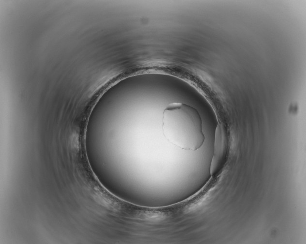 X0000092021209200709131548