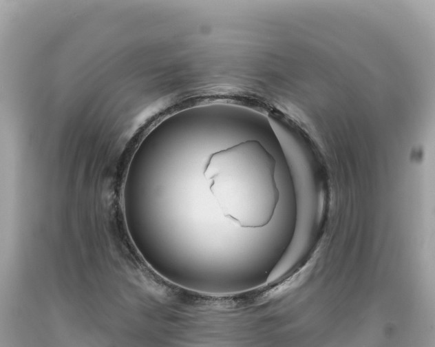 X0000092021210200709131548