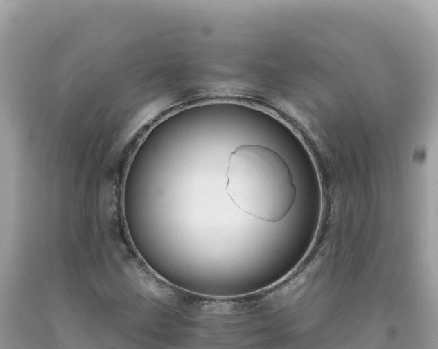 X0000092021211200709131549