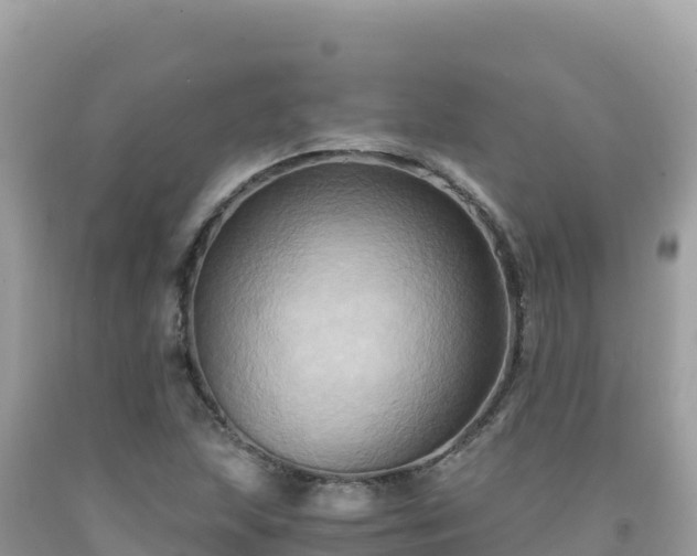 X0000092021215200709131549