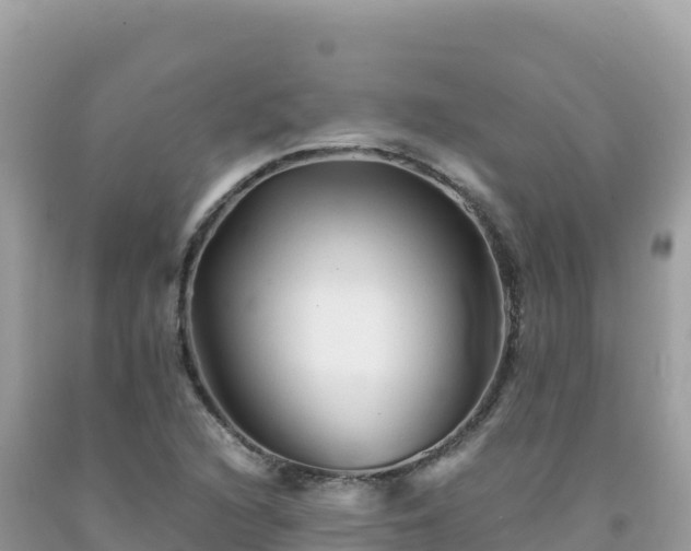 X0000092021216200709131549