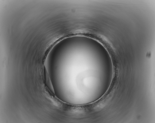 X0000092021217200709131549
