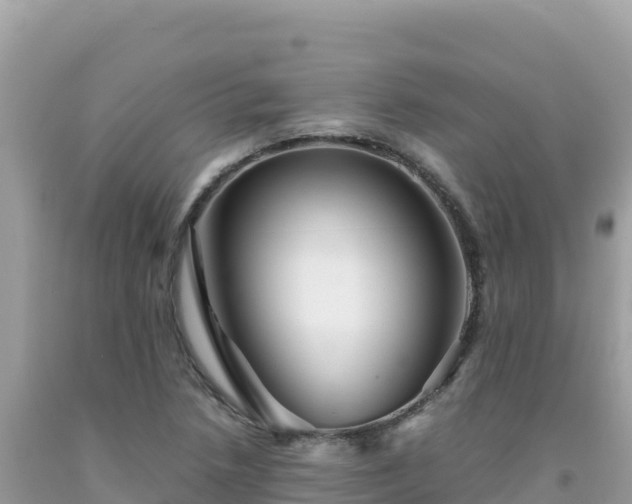 X0000092021218200709131549