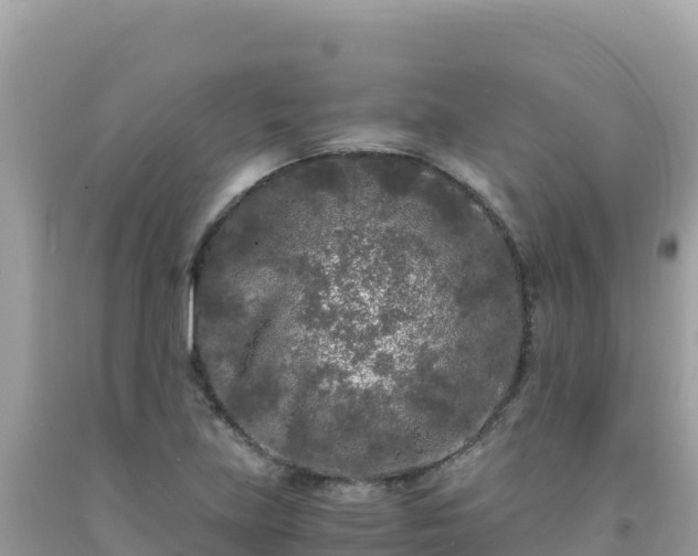 X0000092021219200709131549