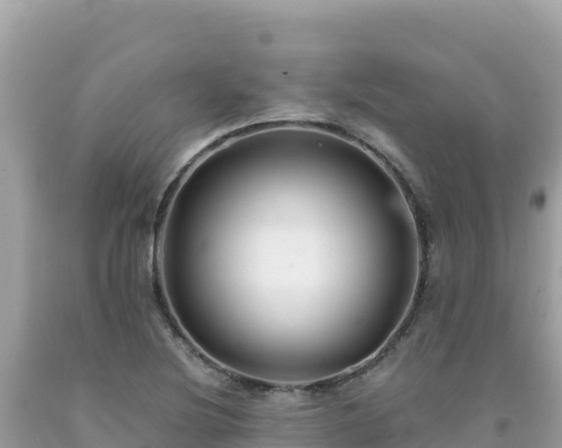 X0000092021220200709131549
