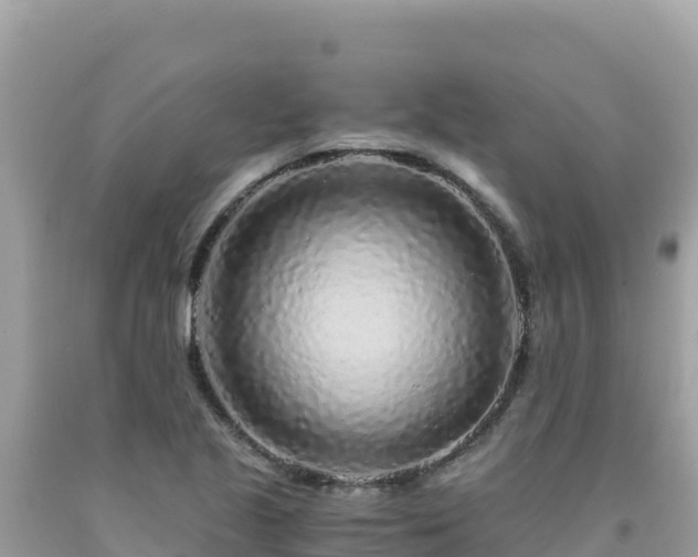 X0000092021221200709131549
