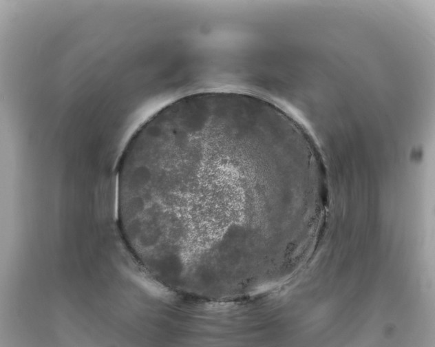 X0000092021223200709131549