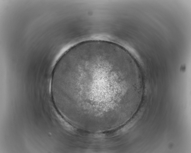 X0000092021224200709131549