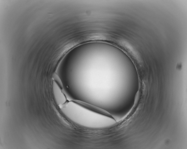 X0000092021225200709131549