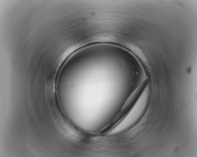 X0000092021226200709131549