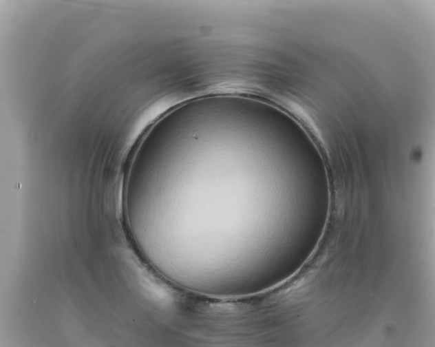 X0000092021227200709131549