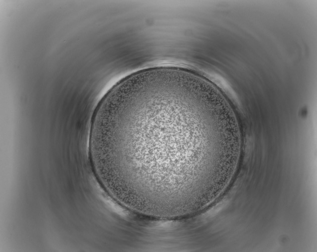 X0000092021228200709131549
