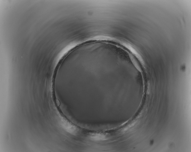 X0000092021229200709131549