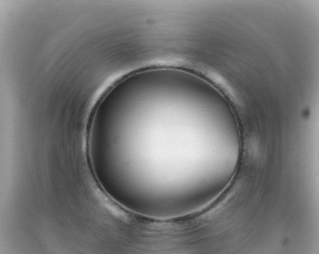 X0000092021232200709131549