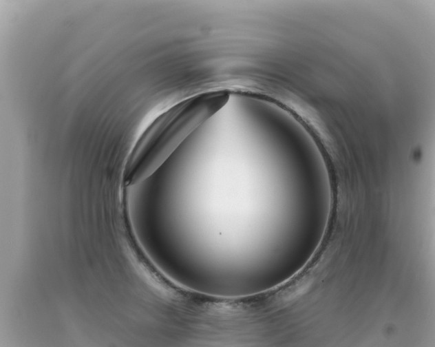 X0000092021234200709131549