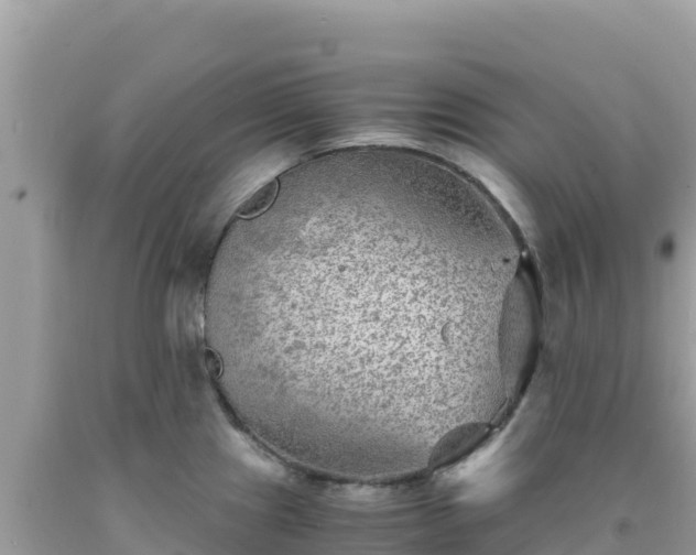 X0000092021241200709131549