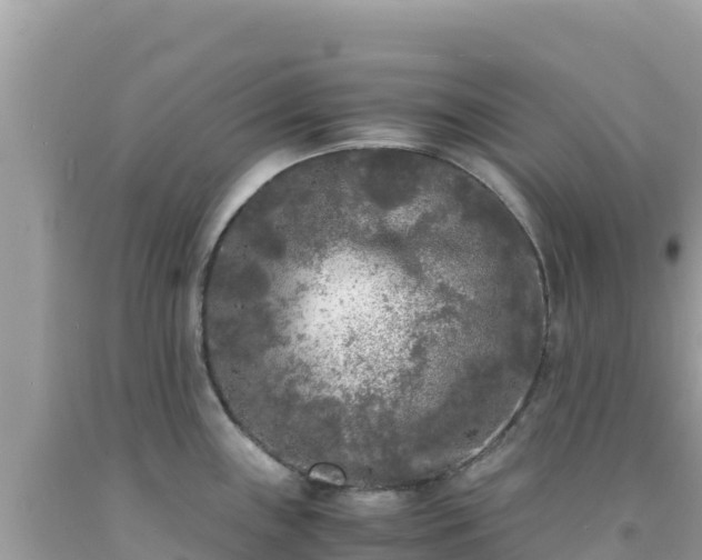 X0000092021243200709131549