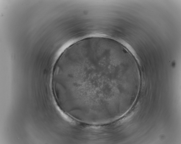 X0000092021245200709131549